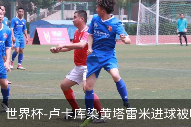 世界杯-卢卡库染黄塔雷米进球被吹 比利时半场0-0伊朗