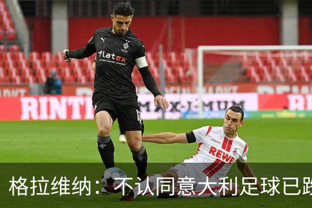 格拉维纳：不认同意大利足球已跌至最低点 对未晋级世界杯失望